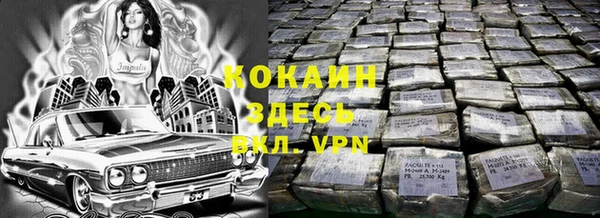 PSILOCYBIN Алексеевка