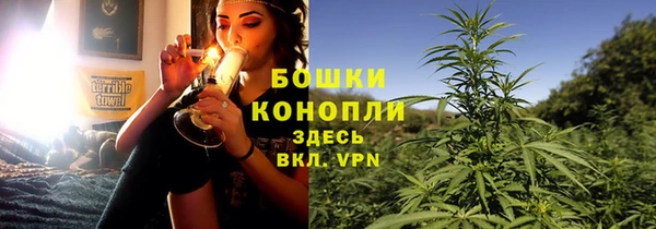 PSILOCYBIN Алексеевка